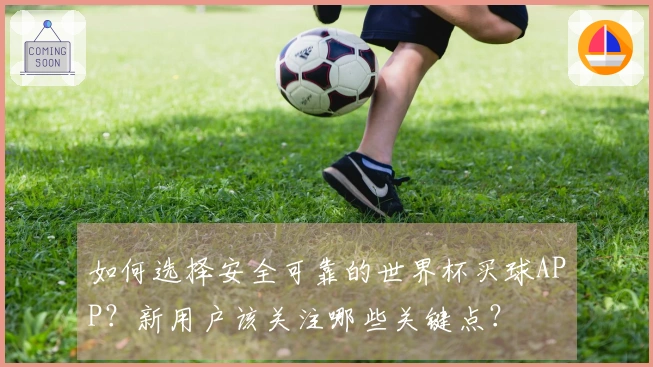 如何选择安全可靠的世界杯买球APP？新用户该关注哪些关键点？