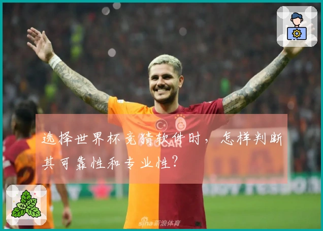 选择世界杯竞猜软件时，怎样判断其可靠性和专业性？