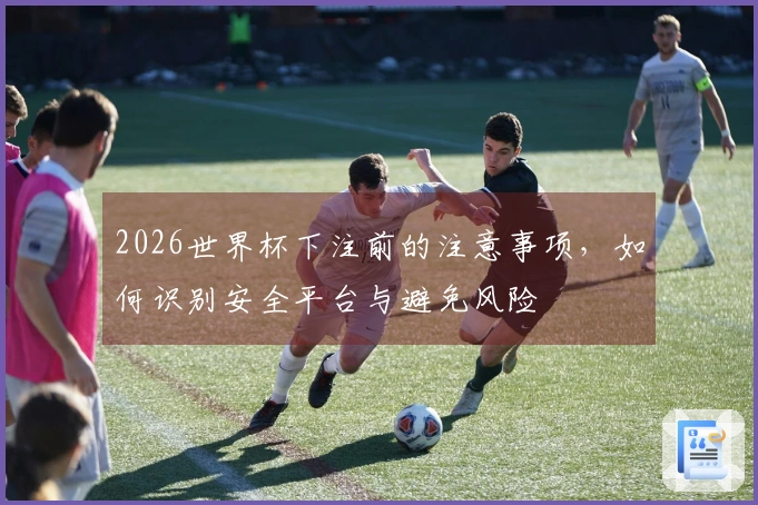 2026世界杯下注前的注意事项，如何识别安全平台与避免风险
