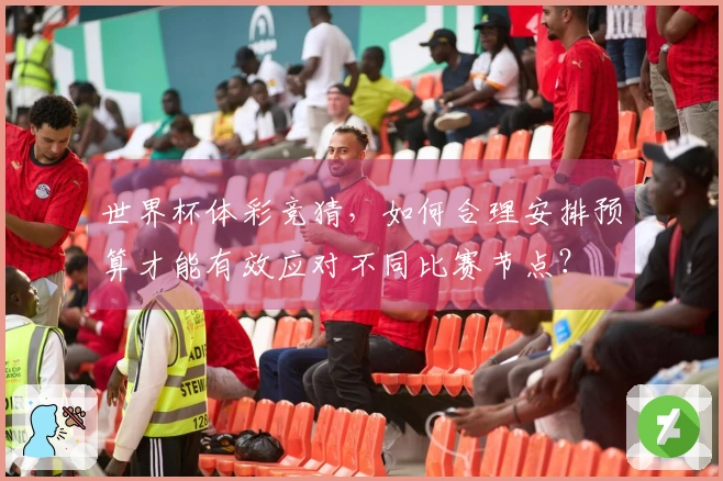 世界杯体彩竞猜，如何合理安排预算才能有效应对不同比赛节点？