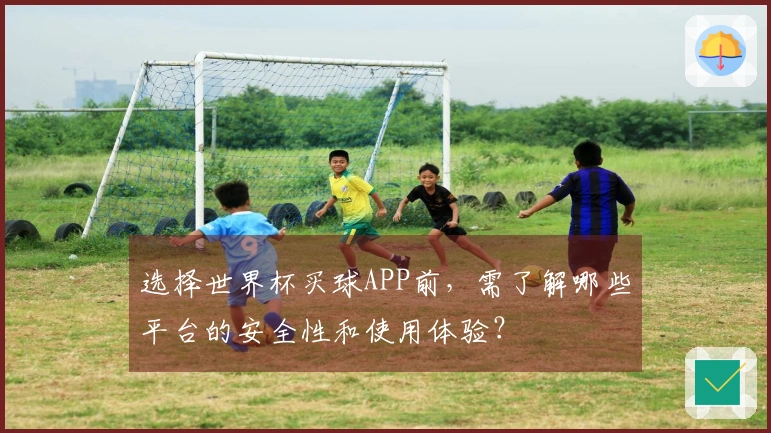 选择世界杯买球APP前，需了解哪些平台的安全性和使用体验？
