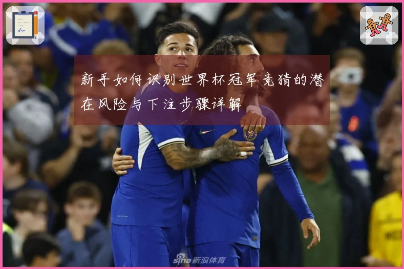 新手如何识别世界杯冠军竞猜的潜在风险与下注步骤详解