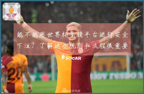 能不能用世界杯竞猜平台进行安全下注？了解这些规则和流程很重要
