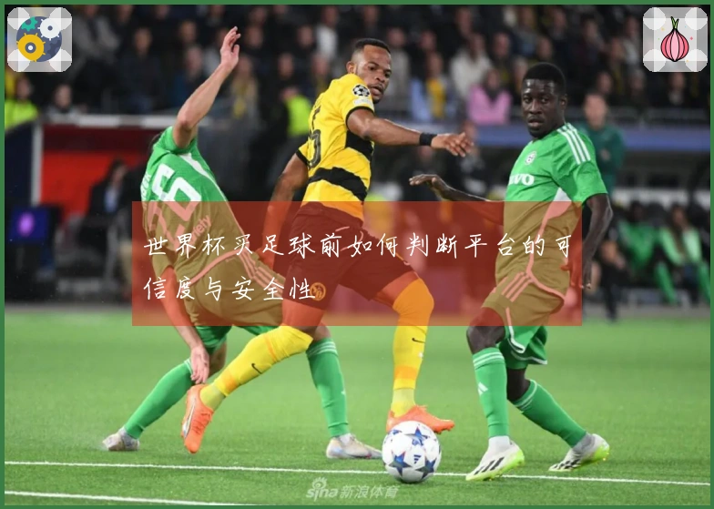 世界杯买足球前如何判断平台的可信度与安全性