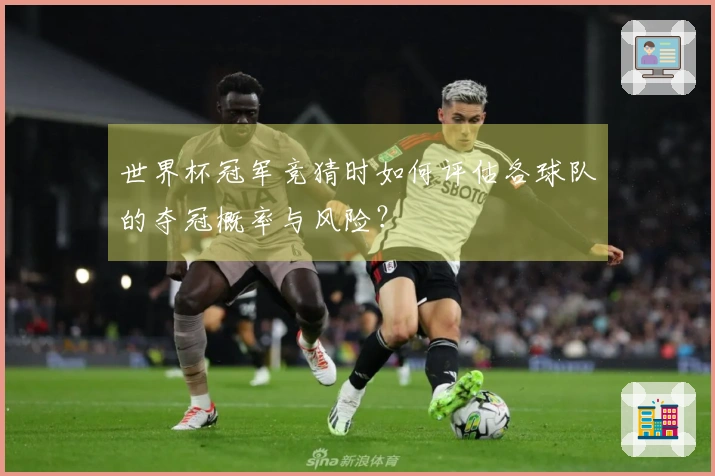 世界杯冠军竞猜时如何评估各球队的夺冠概率与风险？