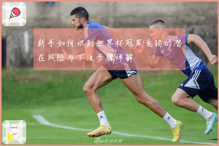 新手如何识别世界杯冠军竞猜的潜在风险与下注步骤详解