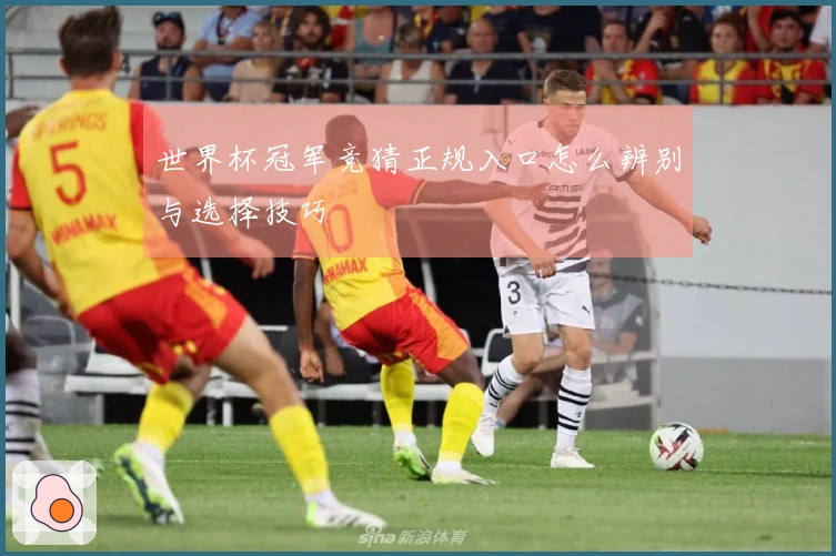 世界杯冠军竞猜正规入口怎么辨别与选择技巧