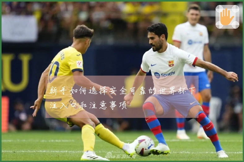 新手如何选择安全可靠的世界杯下注入口和注意事项