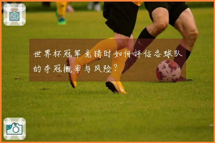 世界杯冠军竞猜时如何评估各球队的夺冠概率与风险？