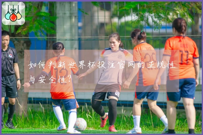 如何判断世界杯投注官网的正规性与安全性？