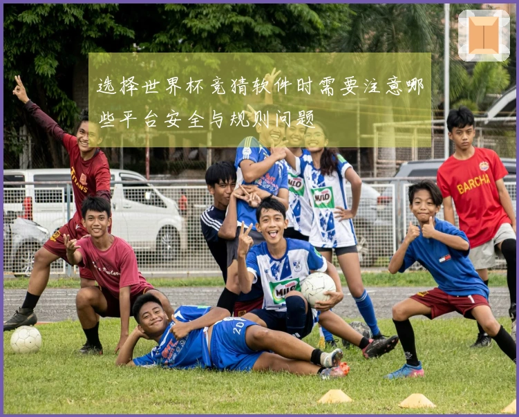 选择世界杯竞猜软件时需要注意哪些平台安全与规则问题