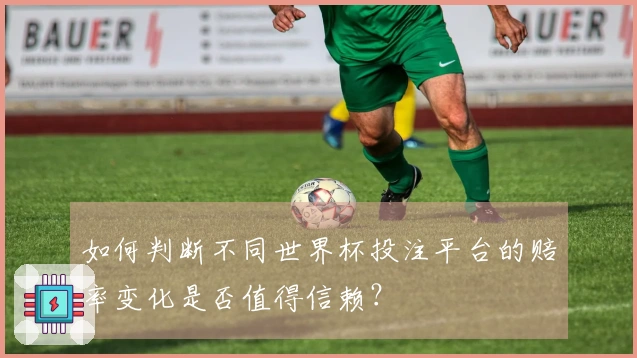 如何判断不同世界杯投注平台的赔率变化是否值得信赖？