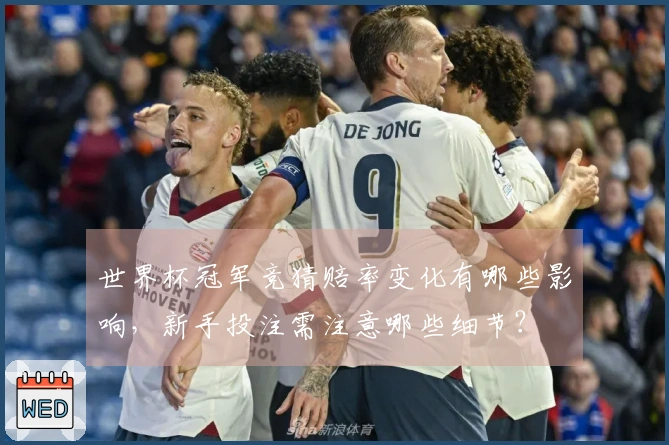 世界杯冠军竞猜赔率变化有哪些影响，新手投注需注意哪些细节？