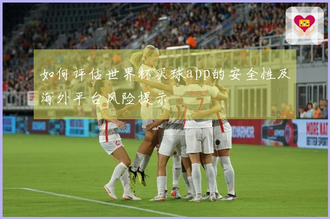 如何评估世界杯买球app的安全性及海外平台风险提示