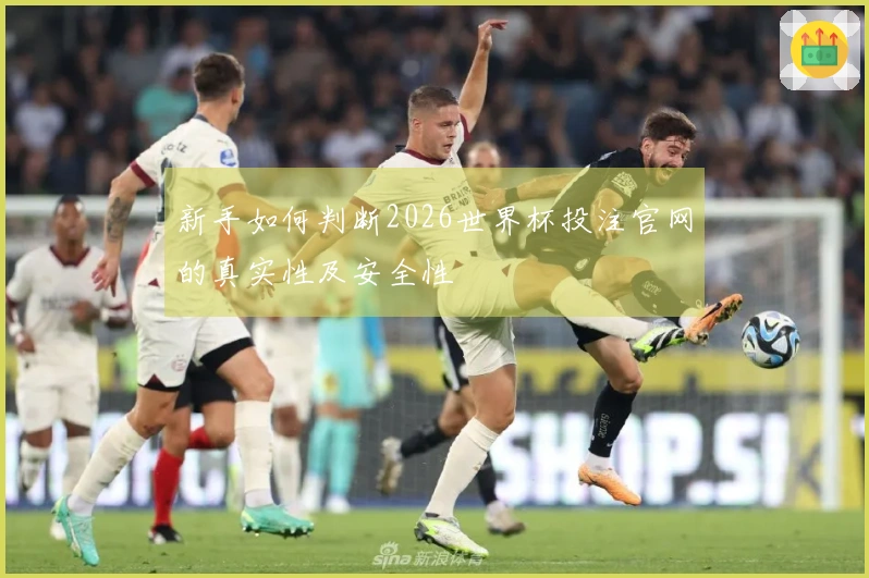 新手如何判断2026世界杯投注官网的真实性及安全性