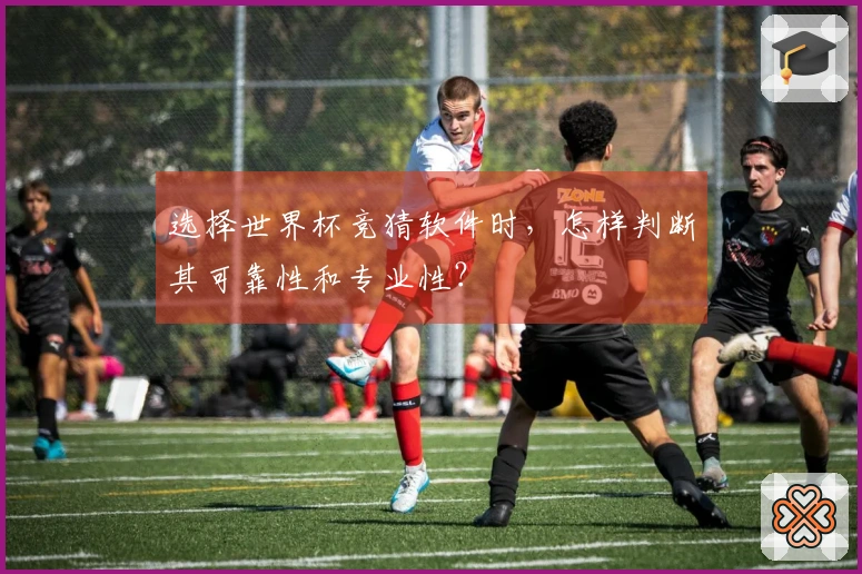选择世界杯竞猜软件时，怎样判断其可靠性和专业性？