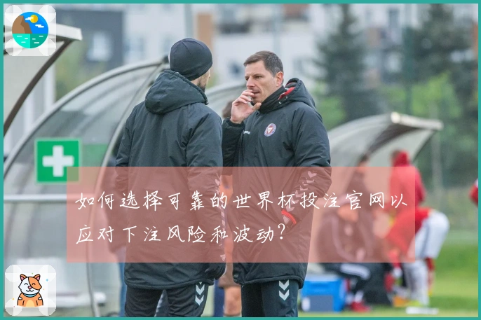如何选择可靠的世界杯投注官网以应对下注风险和波动？
