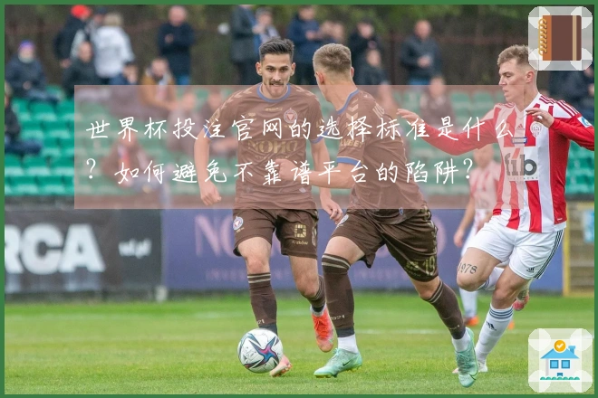 世界杯投注官网的选择标准是什么？如何避免不靠谱平台的陷阱？