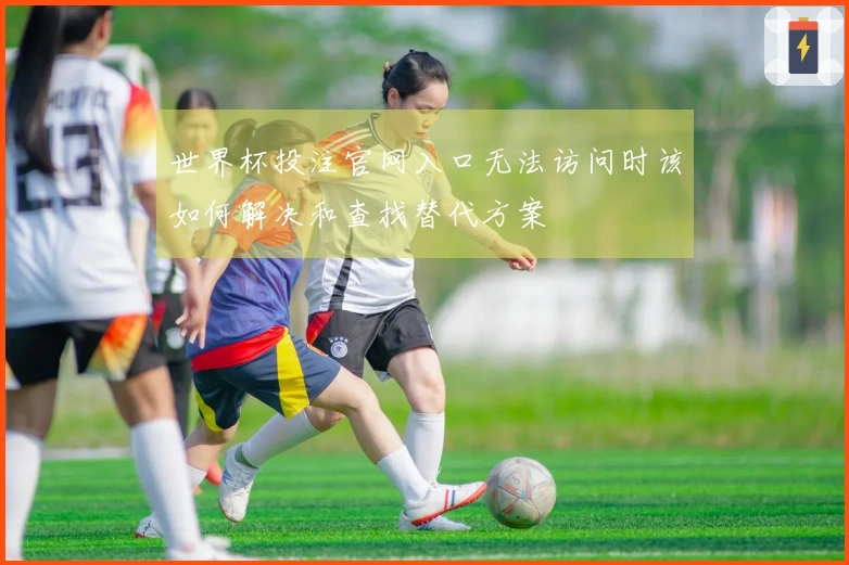 世界杯投注官网入口无法访问时该如何解决和查找替代方案