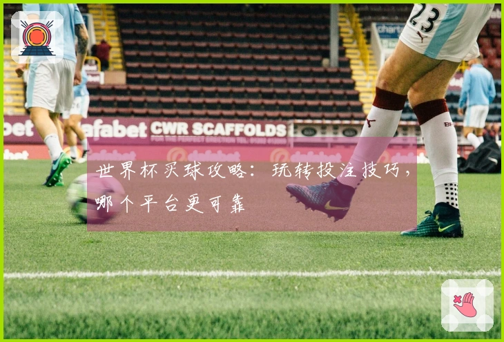 世界杯买球攻略：玩转投注技巧，哪个平台更可靠