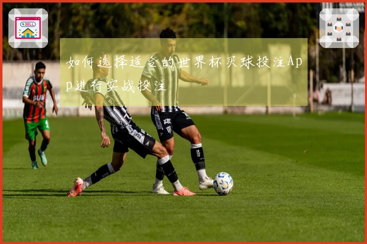 如何选择适合的世界杯买球投注App进行实战投注