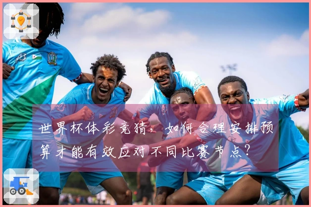 世界杯体彩竞猜，如何合理安排预算才能有效应对不同比赛节点？