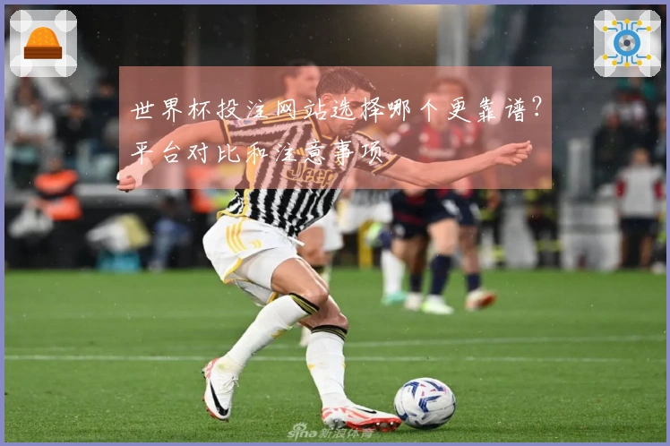 世界杯投注网站选择哪个更靠谱？平台对比和注意事项