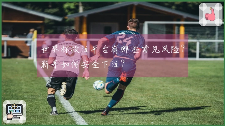 世界杯投注平台有哪些常见风险？新手如何安全下注？