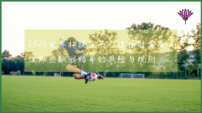 2026世界杯投注平台选择时需要关注哪些欧洲赔率的风险与规则