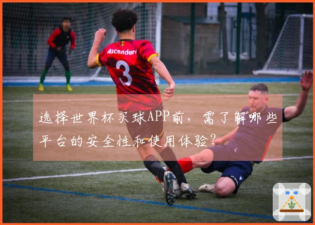 选择世界杯买球APP前，需了解哪些平台的安全性和使用体验？