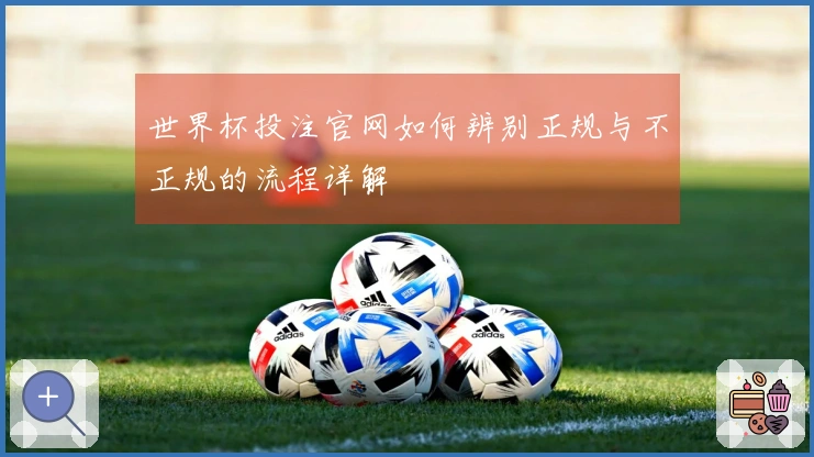 世界杯投注官网如何辨别正规与不正规的流程详解