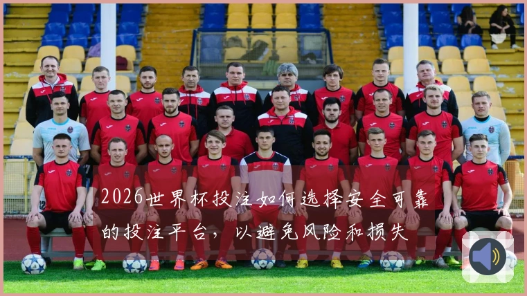 2026世界杯投注如何选择安全可靠的投注平台，以避免风险和损失
