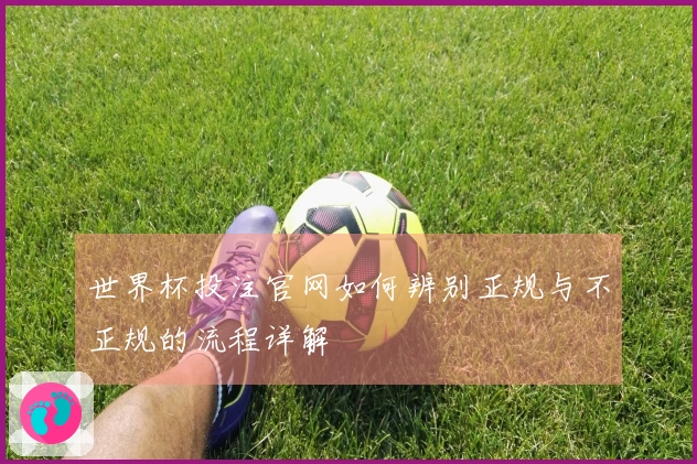 世界杯投注官网如何辨别正规与不正规的流程详解