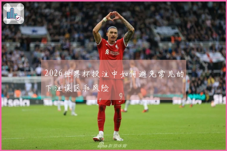 2026世界杯投注中如何避免常见的下注误区和风险