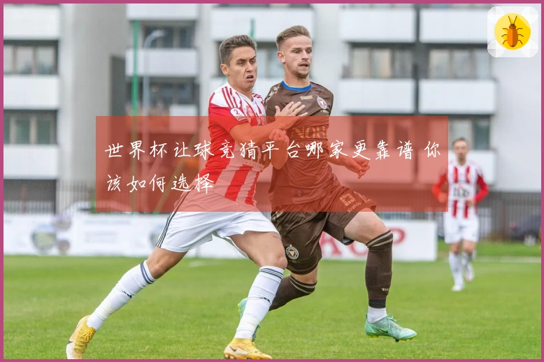 世界杯让球竞猜平台哪家更靠谱 你该如何选择