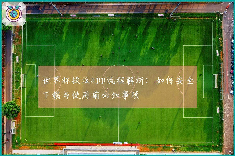 世界杯投注app流程解析：如何安全下载与使用前必知事项